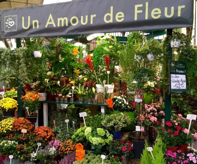 Livraison de fleurs Paris et proximité, par Un Amour de Fleur, artisan fleuriste