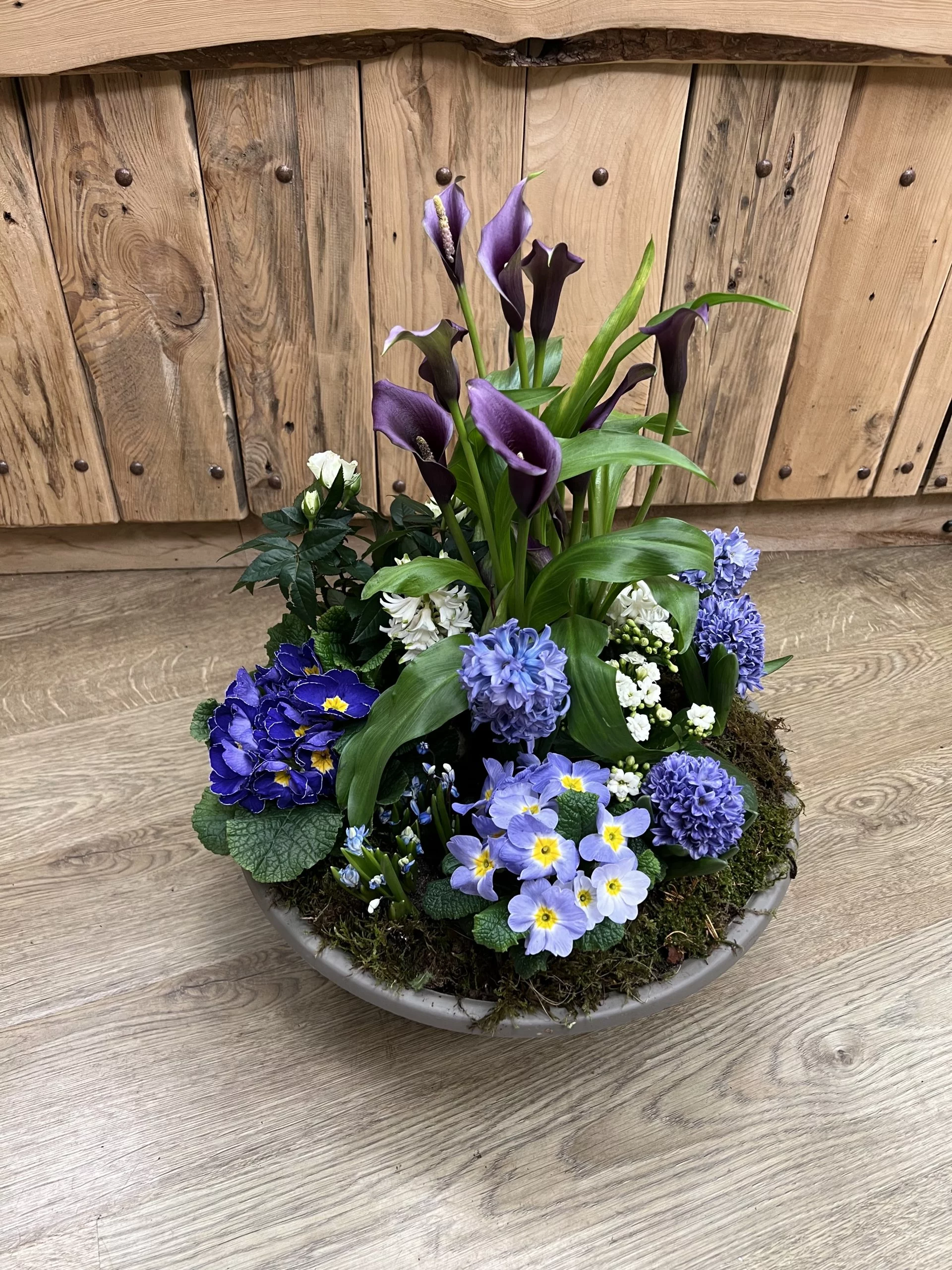 Composition de plantes, par Langage Des Fleurs, fleuriste à Bastia