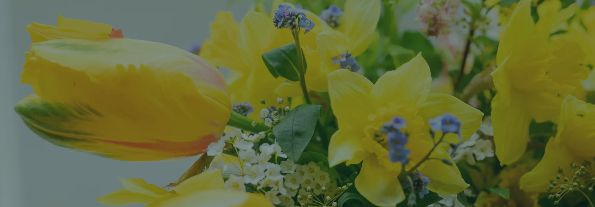 Printemps - Livraison de bouquets de fleurs par vos fleuristes préférés