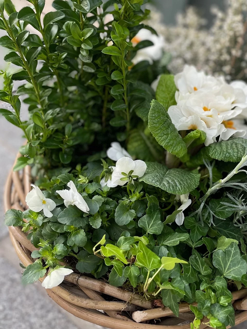 Jardin paysager, par La Maison Fleurie, fleuriste à Douai
