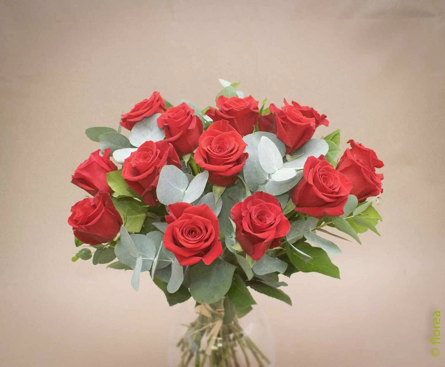 Les roses rouges red naomi, par Florea, fleuriste à Limoges