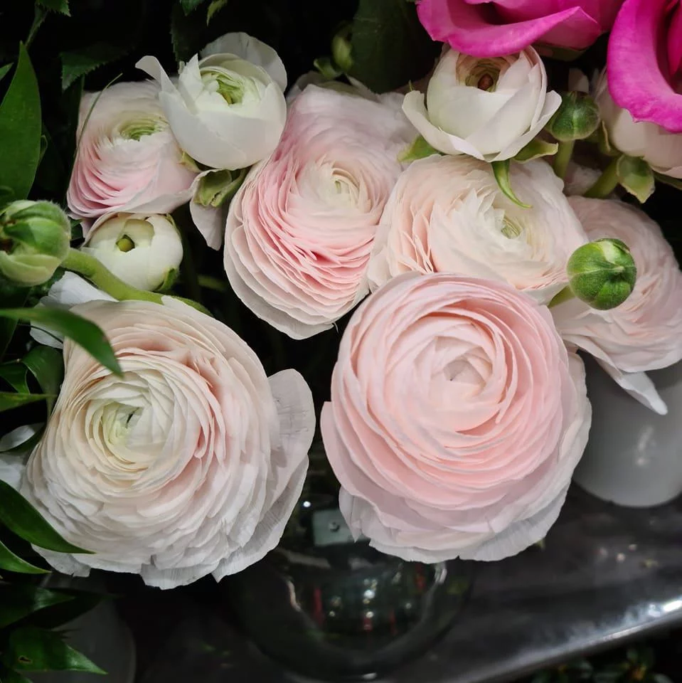 Livraison de fleurs Lanester et proximité, par Flore Halle Lanester, artisan fleuriste