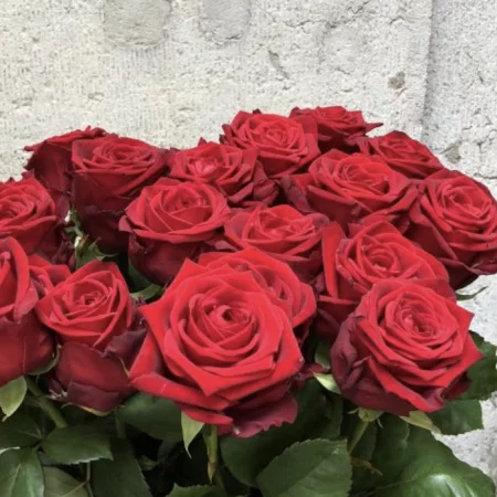 Roses rouges (10 tiges), par Canopée Marseille, fleuriste à Marseille