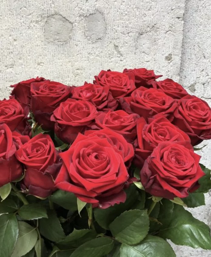 Roses rouges (10 tiges), par Canopée Marseille, fleuriste à Marseille