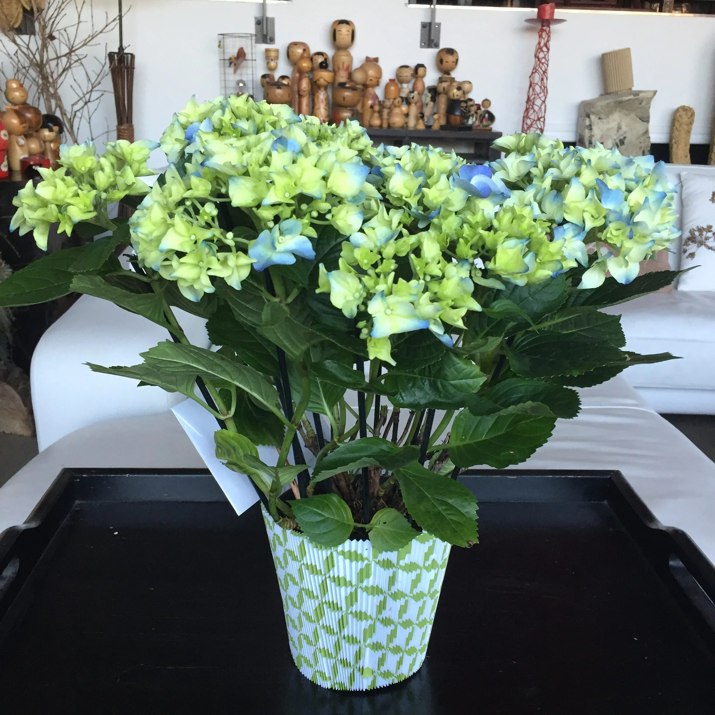 Hortensia sur commande, par Hanakawa, fleuriste à Meudon