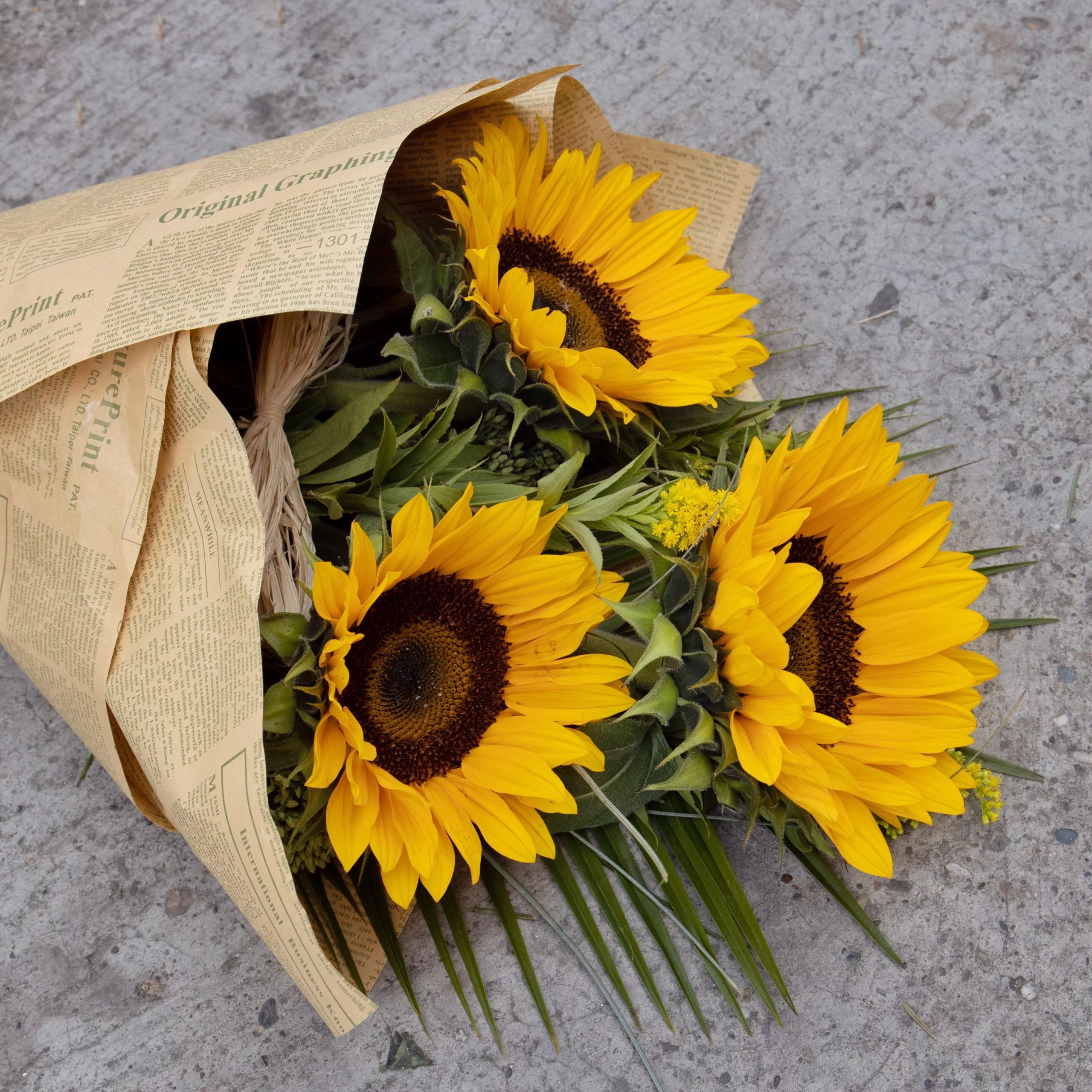 Soleil, par Multiflor, fleuriste à Brive-la-Gaillarde