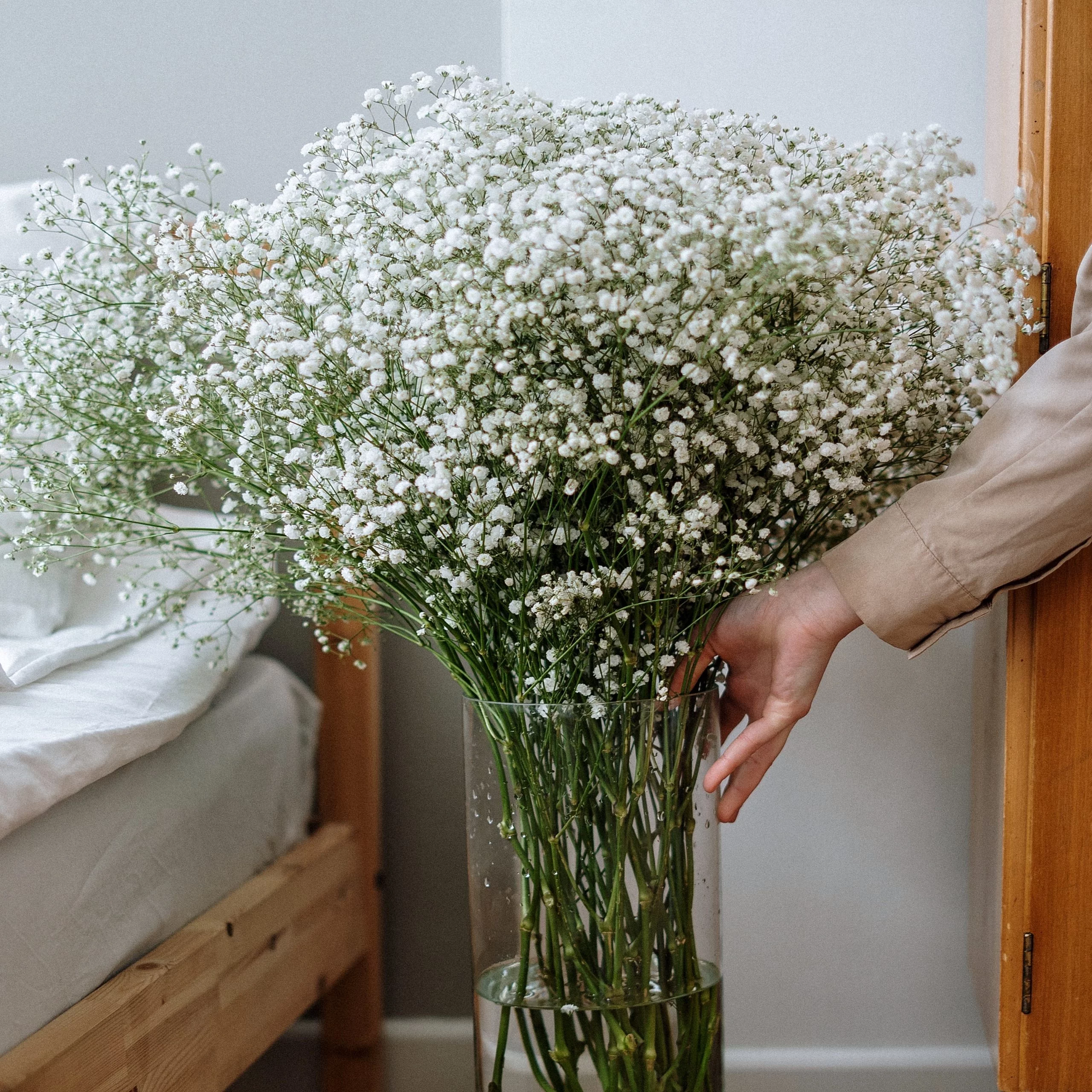 Gypse, par Multiflor, fleuriste à Brive-la-Gaillarde