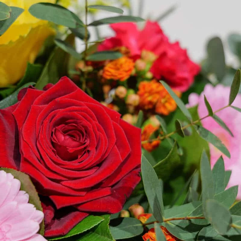 Bouquet boite Menton taille S, par Les fleuristes Nice, fleuriste à Nice