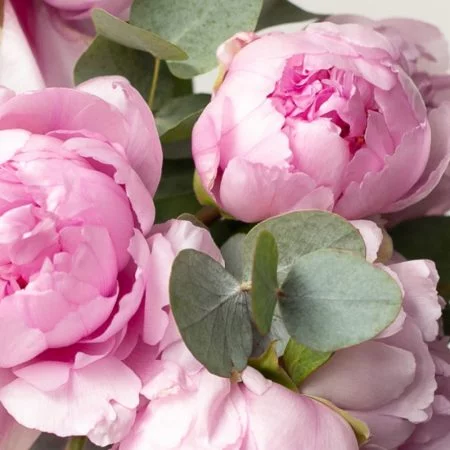 Bouquet de Pivoines, par Un jardin pour demain, fleuriste à Mouriès