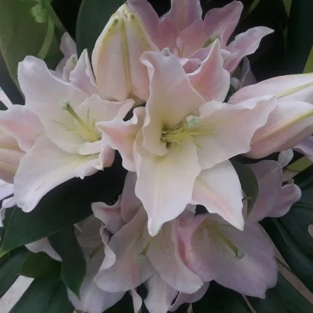 Bouquet de Lys, par Au Qi Fleur, fleuriste à Saint-Mars-du-Désert