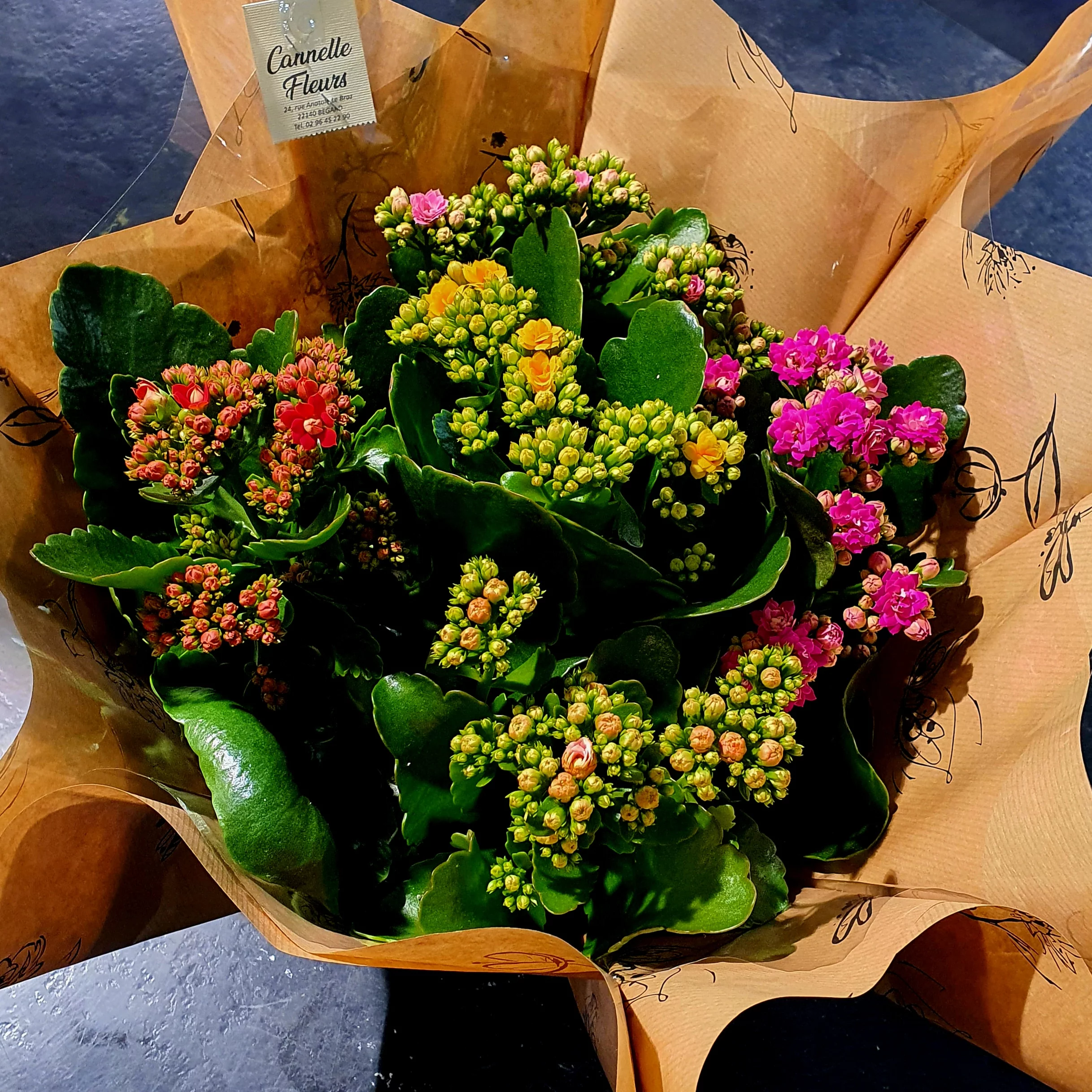 Kalanchoe, par Cannelle Fleurs, fleuriste à Bégard