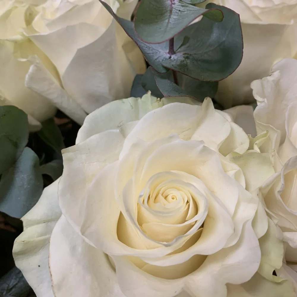 Bouquet de roses blanches, par Les Fleuristes de la Bijude, fleuriste à Biéville-Beuville