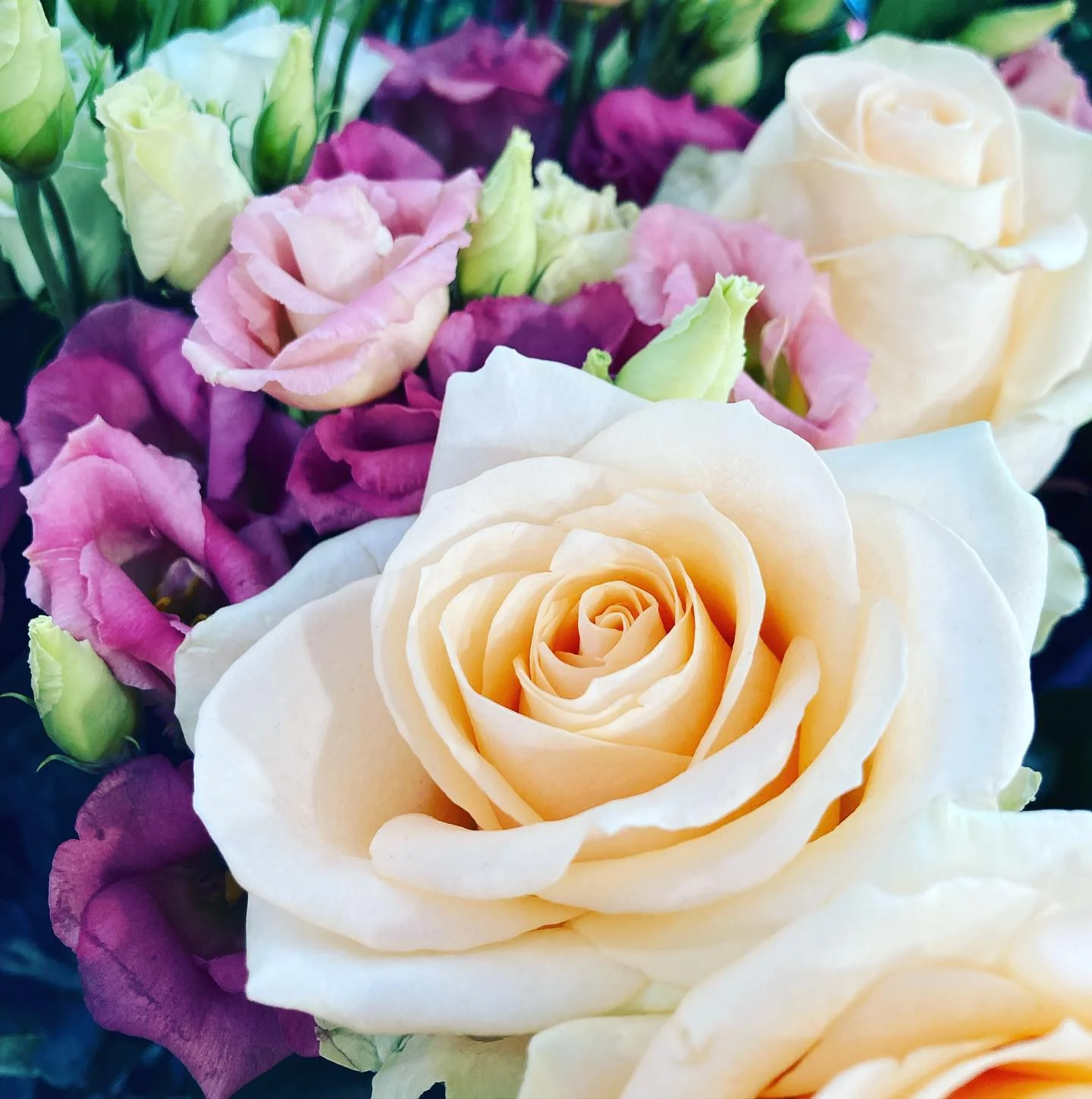 Livraison de fleurs Nevers et proximité, par Pastel Fleuriste, artisan fleuriste