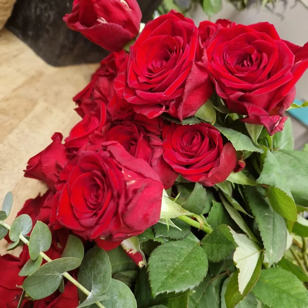 Roses à la Tige - 70cm, par Rosae, fleuriste à Hyères