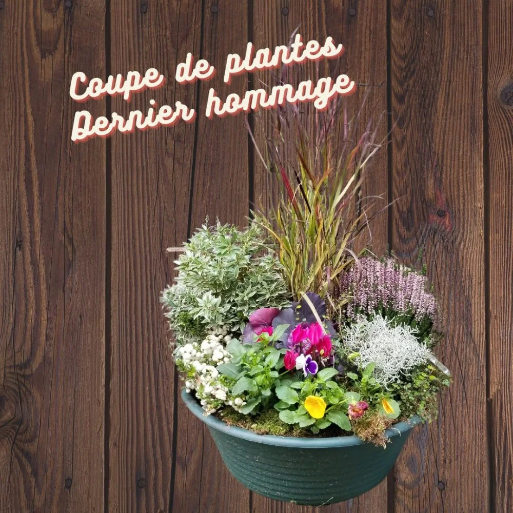 Coupe de plantes [ Dernier Hommage ], par Au fil des pétales, fleuriste à Saint-Geoire-en-Valdaine