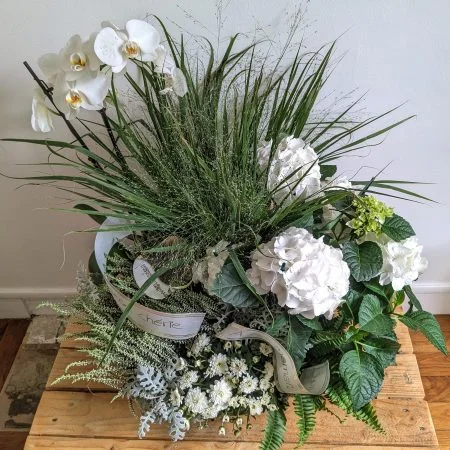 Coupe de plantes, par Clémentine Atelier Floral, fleuriste à Le Plessis-Robinson