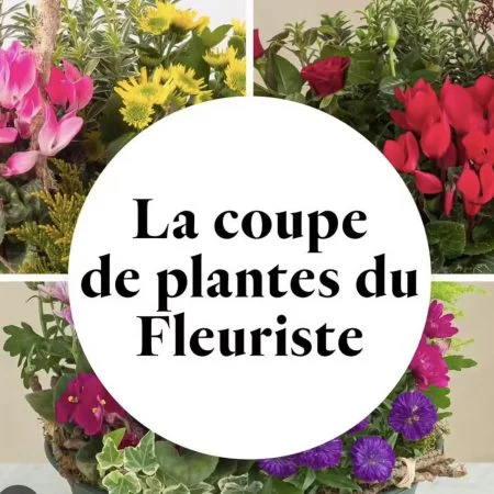 la coupe de plante du fleuriste, par Au Dipladenia, fleuriste à Lille