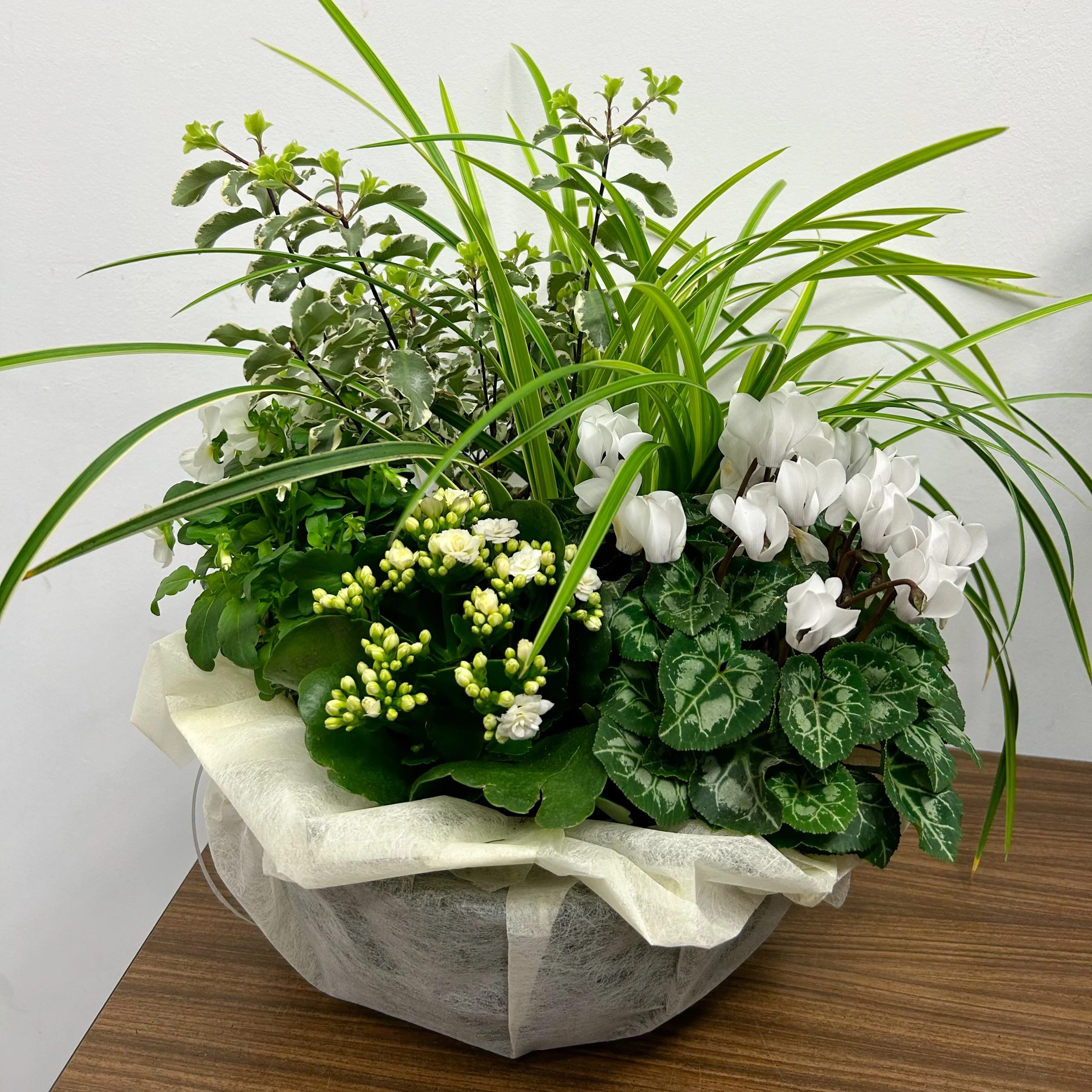 Coupe de 5 plantes extérieures, par A Fleur d'Eau, fleuriste à Brest