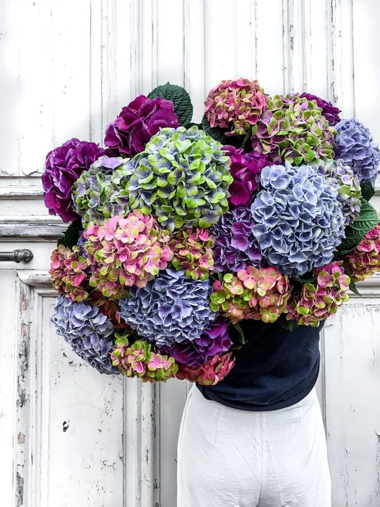 Bouquet d’hortensias, par Atelier Armelle Alleton, fleuriste à Le Mans