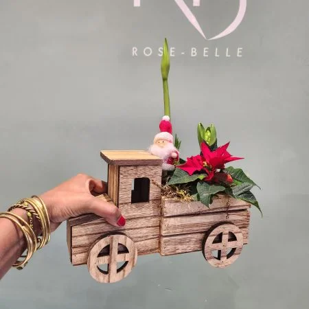 Composition de Noël Amaryllis, Jacinthe et Poinsettia, par ROSE-BELLE, fleuriste à Nice