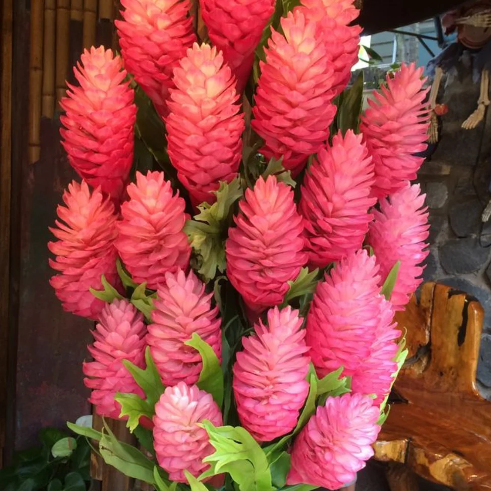 Bouquet d'Alpinia, par Tropical, fleuriste à Châtenay-Malabry