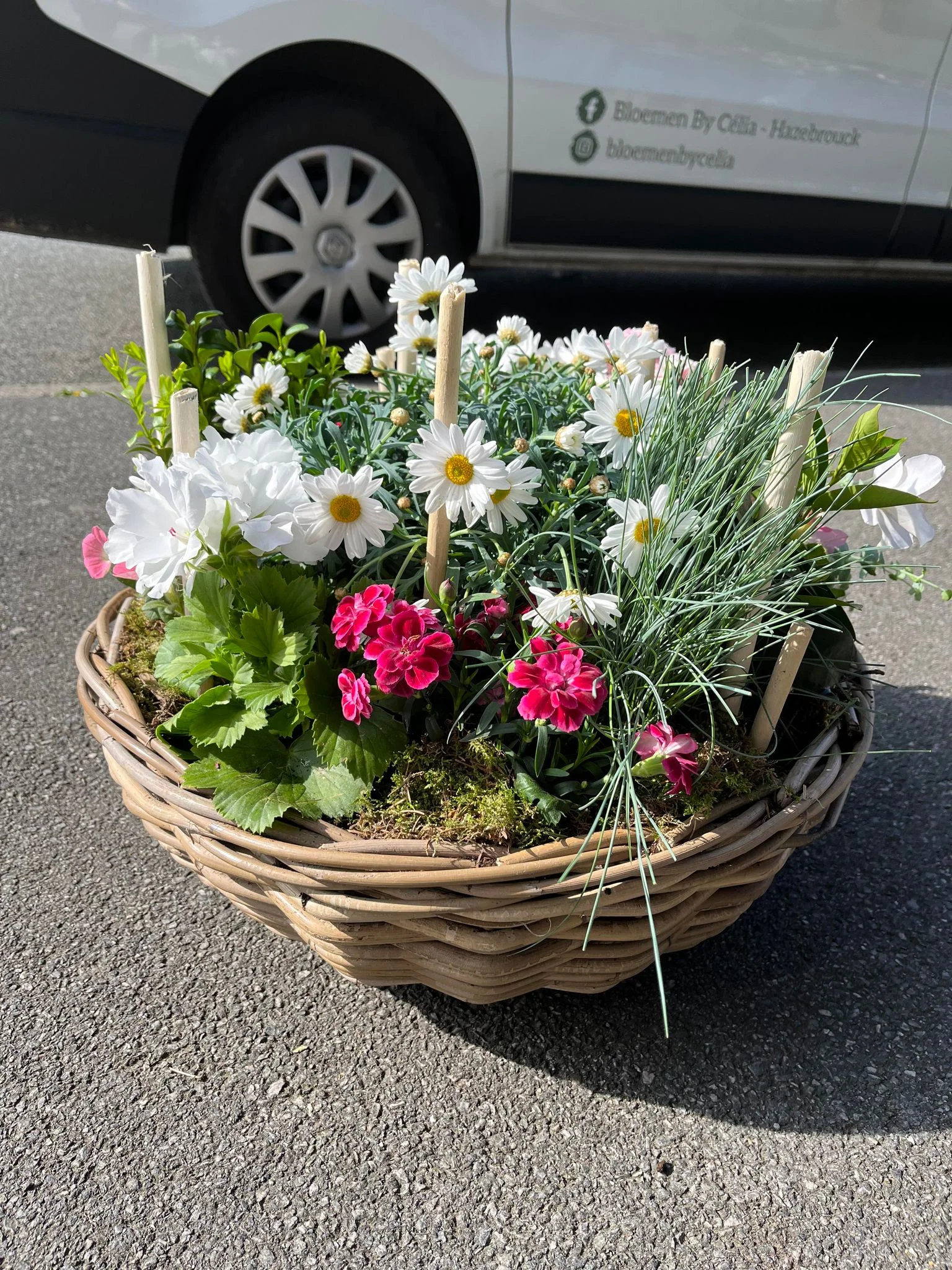 Composition de plantes, par Bloemen By Célia, fleuriste à Hazebrouck