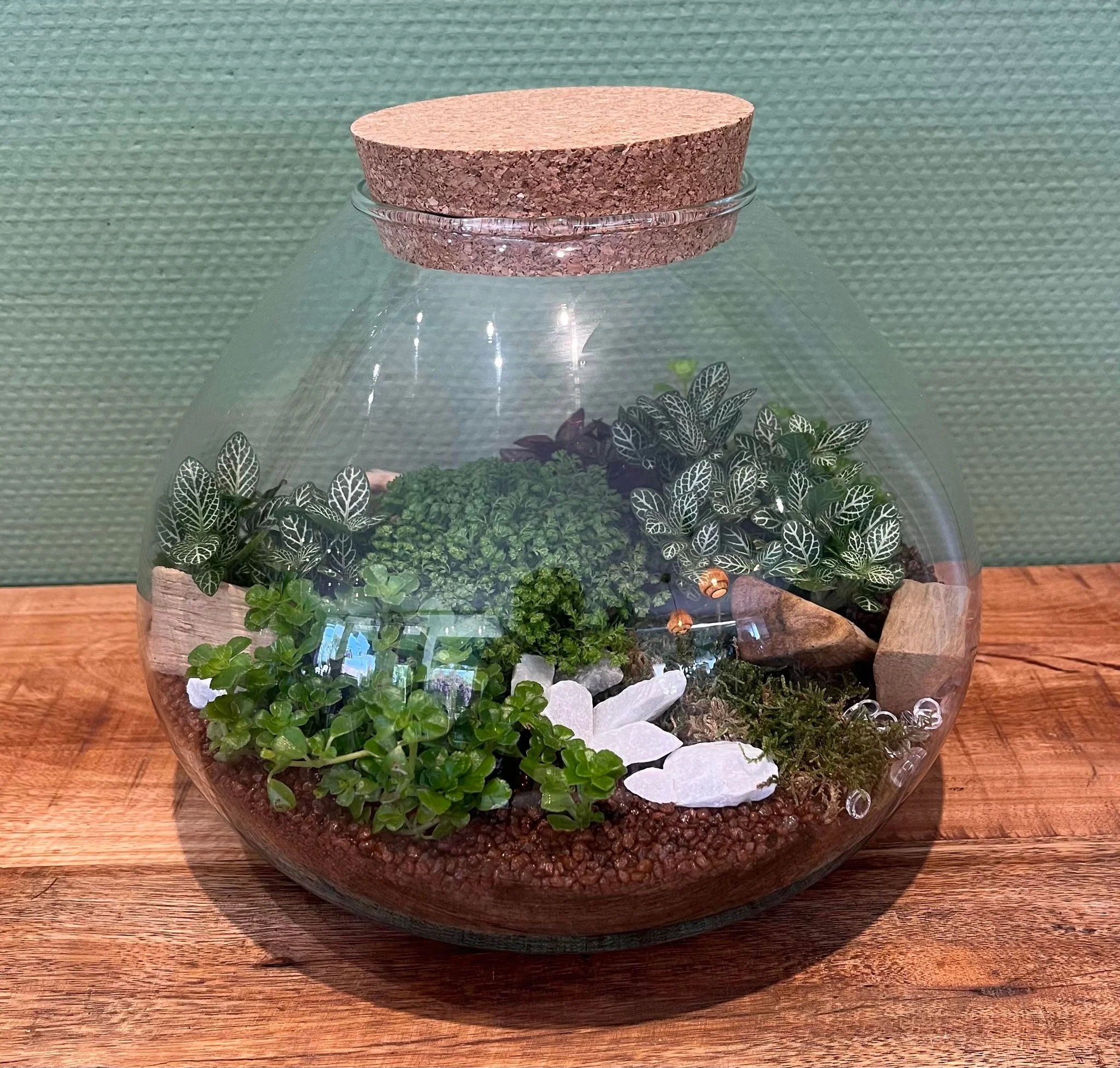 Terrarium, par Bloemen By Célia, fleuriste à Hazebrouck