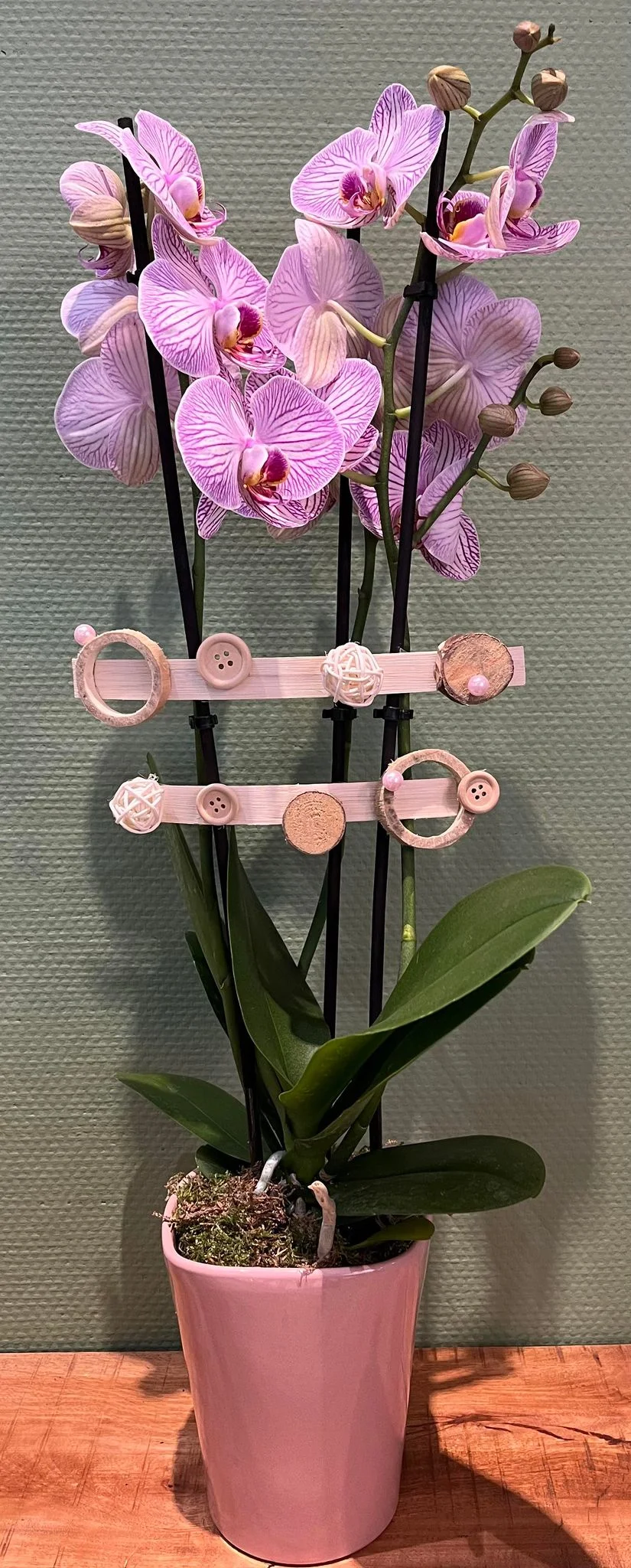 Orchidée rose ou blanc, par Bloemen By Célia, fleuriste à Hazebrouck
