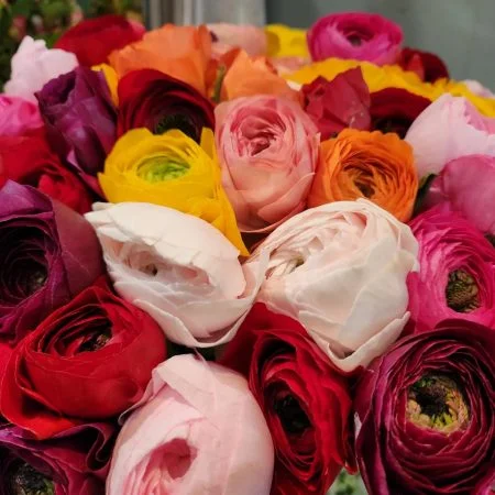 Bouquet de Renoncules, par ROSE-BELLE, fleuriste à Nice