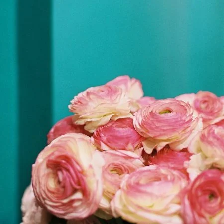 Bouquet de Renoncules, par L'Atelier Vert’tiges, fleuriste à Bining