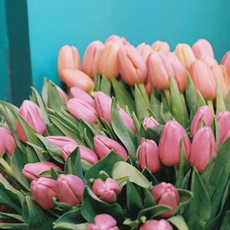 Bouquet de Tulipes, par L'Atelier Vert’tiges, fleuriste à Bining