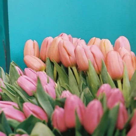 Bouquet de Tulipes, par Amour de fleurs Bordeaux, fleuriste à Bordeaux