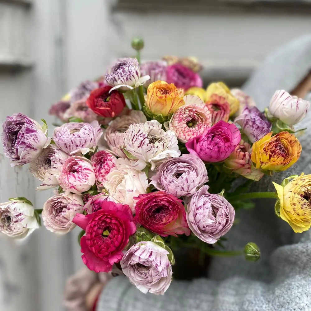 Bouquet de Renoncules, par Atelier Armelle Alleton, fleuriste à Le Mans