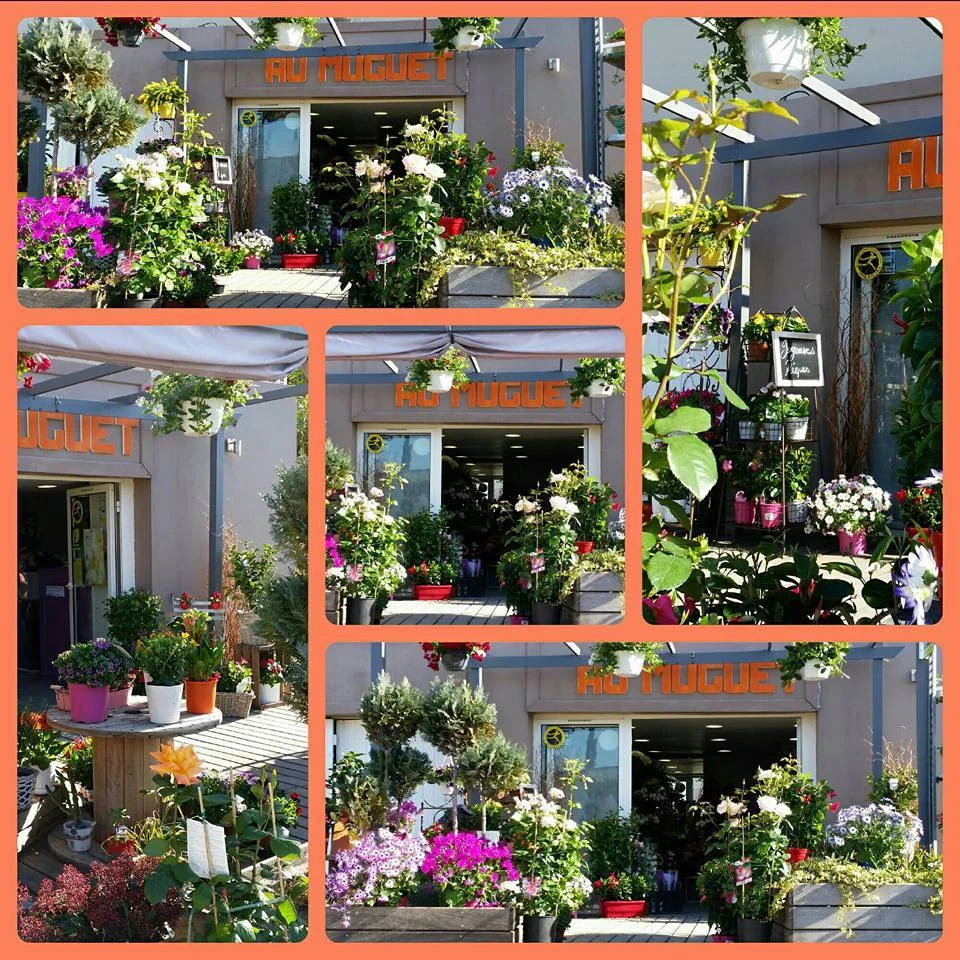 Livraison de fleurs Carqueiranne et proximité, par Au Muguet, artisan fleuriste