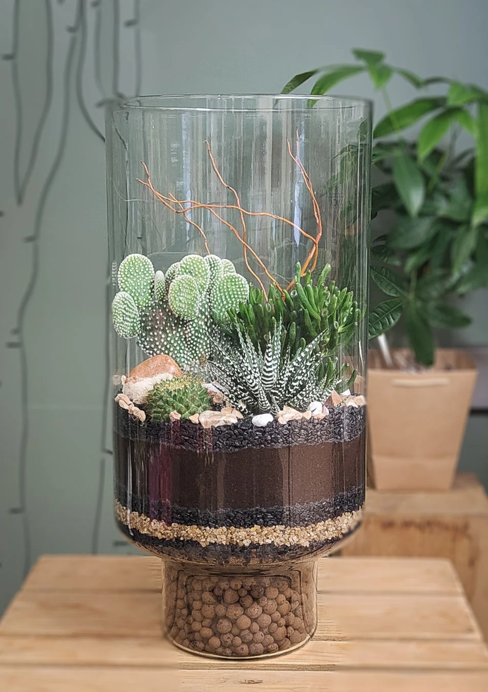 terrarium Tower plante grasse, par Florea, fleuriste à Limoges