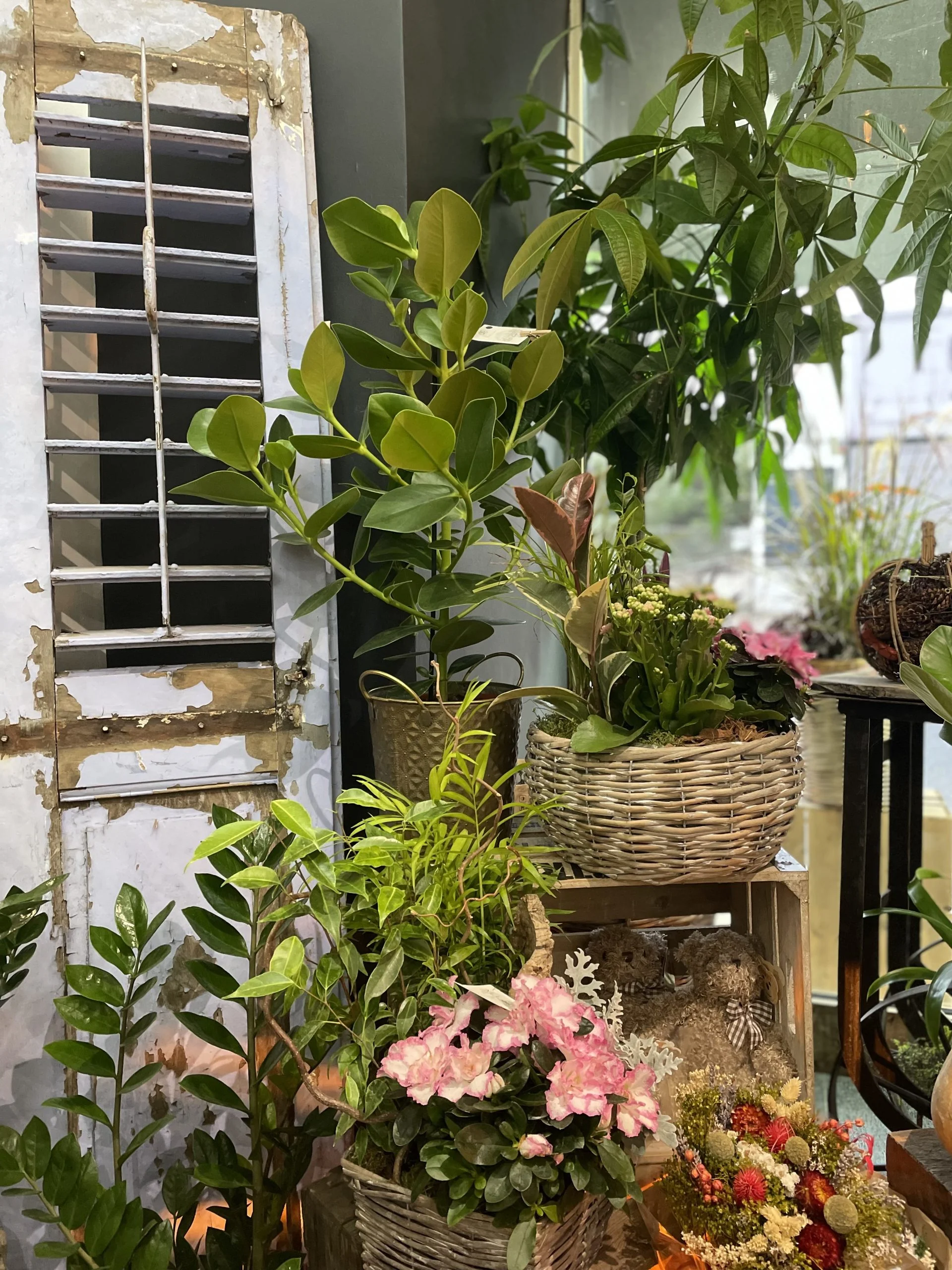 Livraison de fleurs Antibes et proximité, par Allard Fleurs, artisan fleuriste