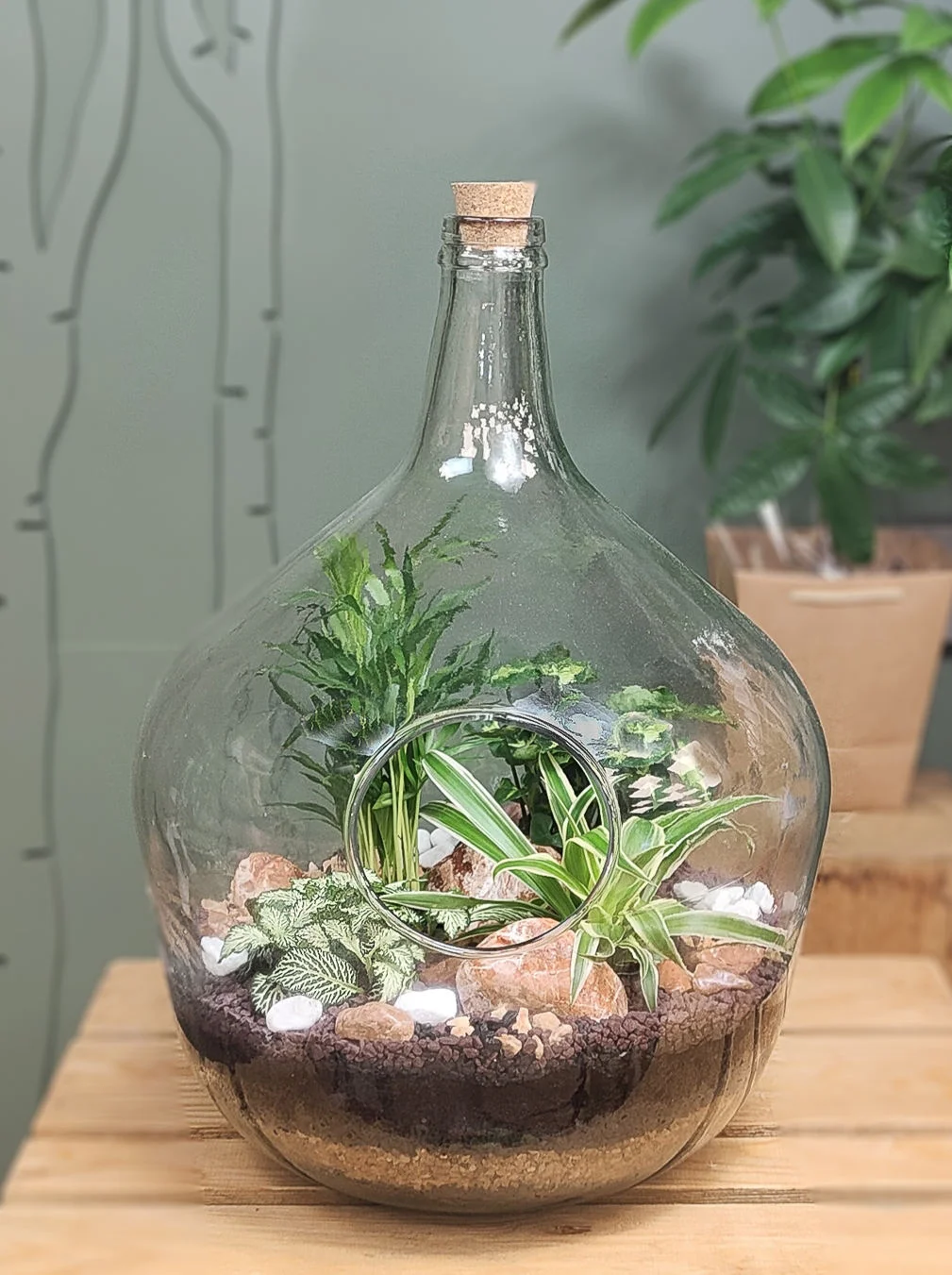 terrarium Pyra plantes vertes, par Florea, fleuriste à Limoges