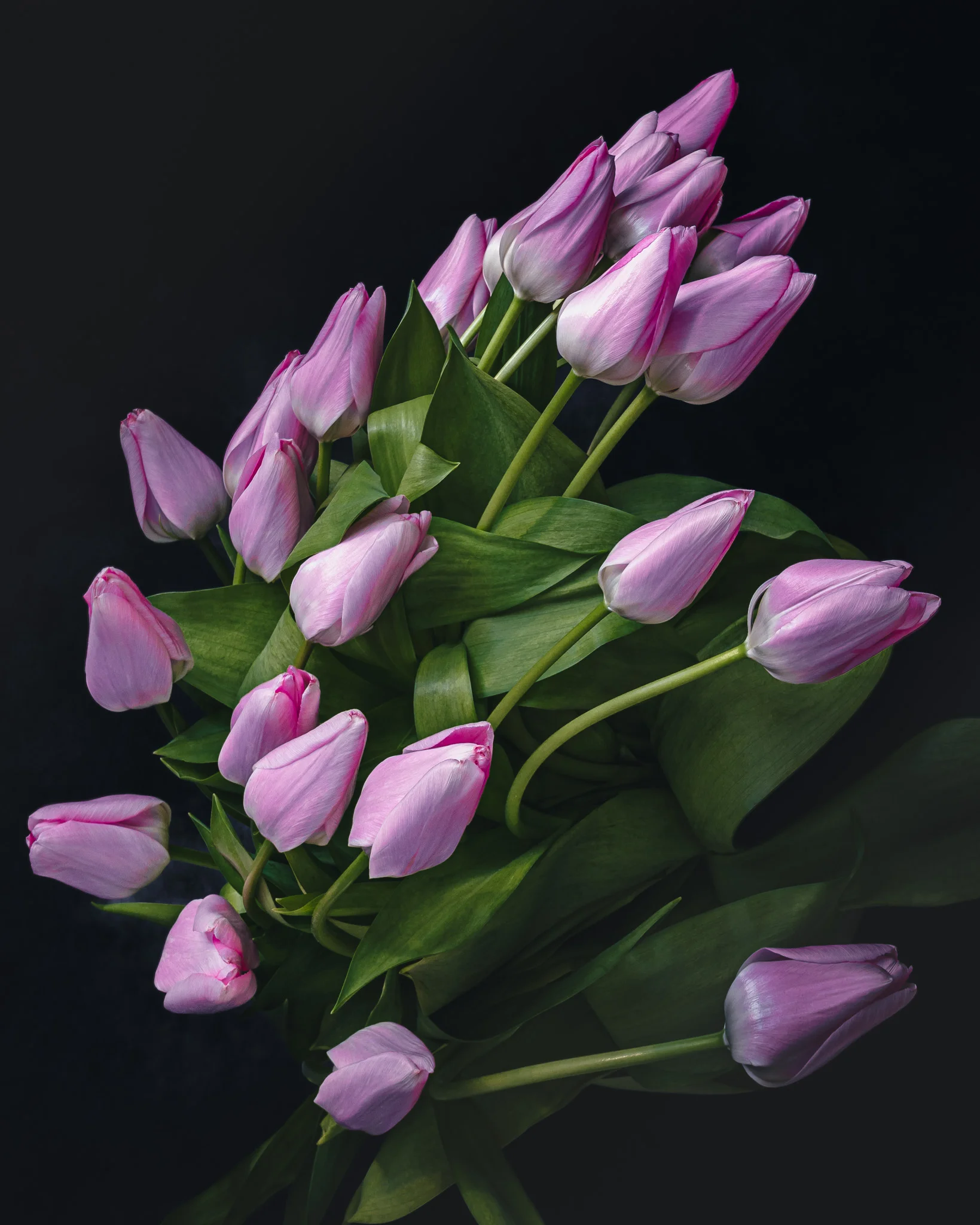 Bouquet de Tulipes, par Nicolas Antoine, fleuriste à Montrouge