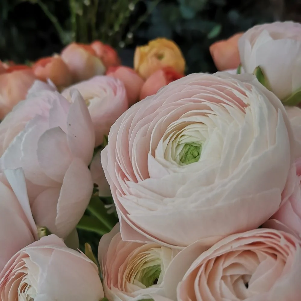 Bouquet de Renoncules, par O'kiosque Lyon, fleuriste à Lyon