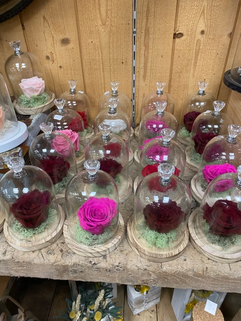 rose éternelle sous cloche, par Les fleurs du passage, fleuriste à Rouen