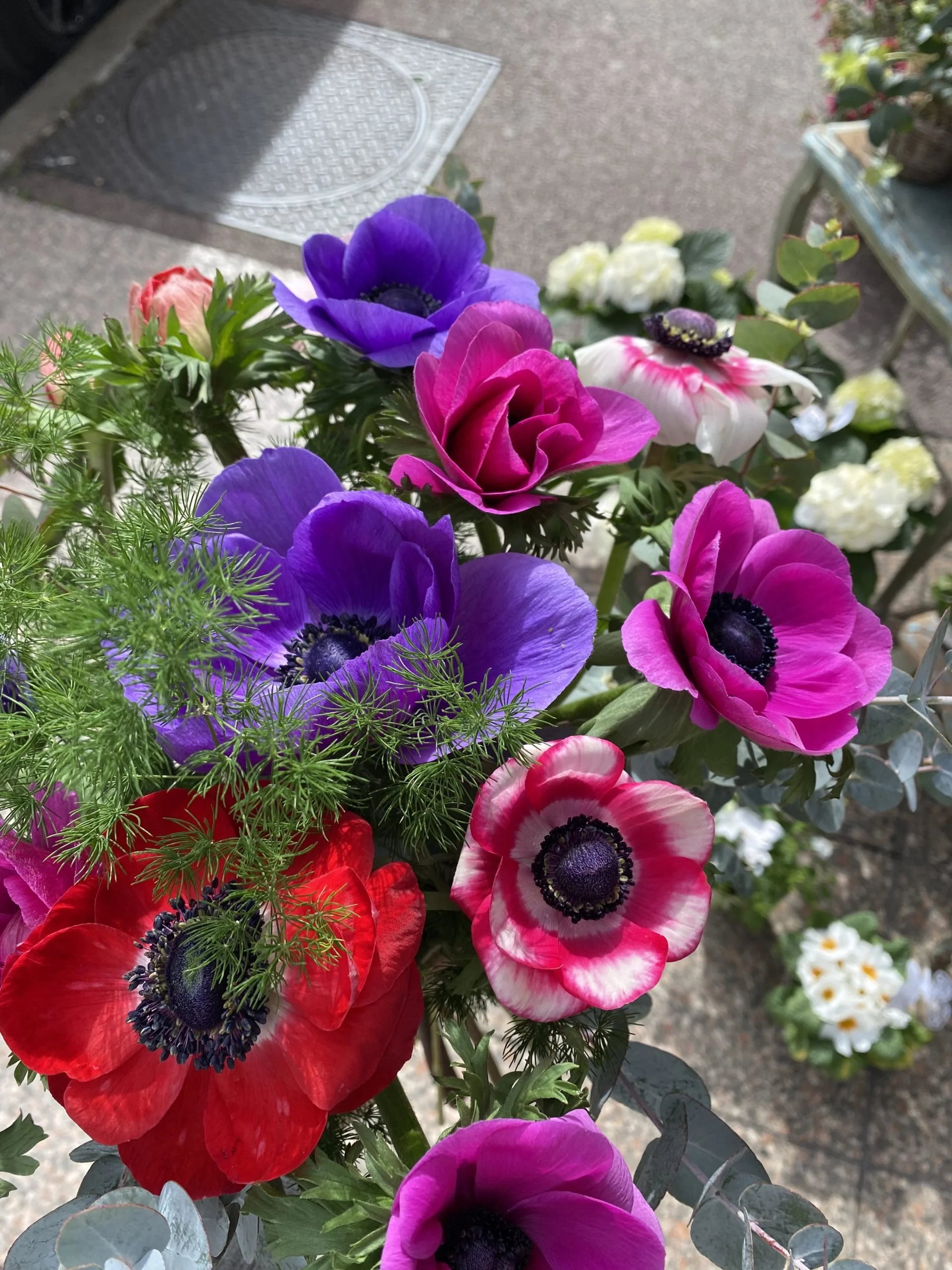 Pepites De Saison – produit local : Les Anemones, par Magnolia Fleuriste, fleuriste à Antibes