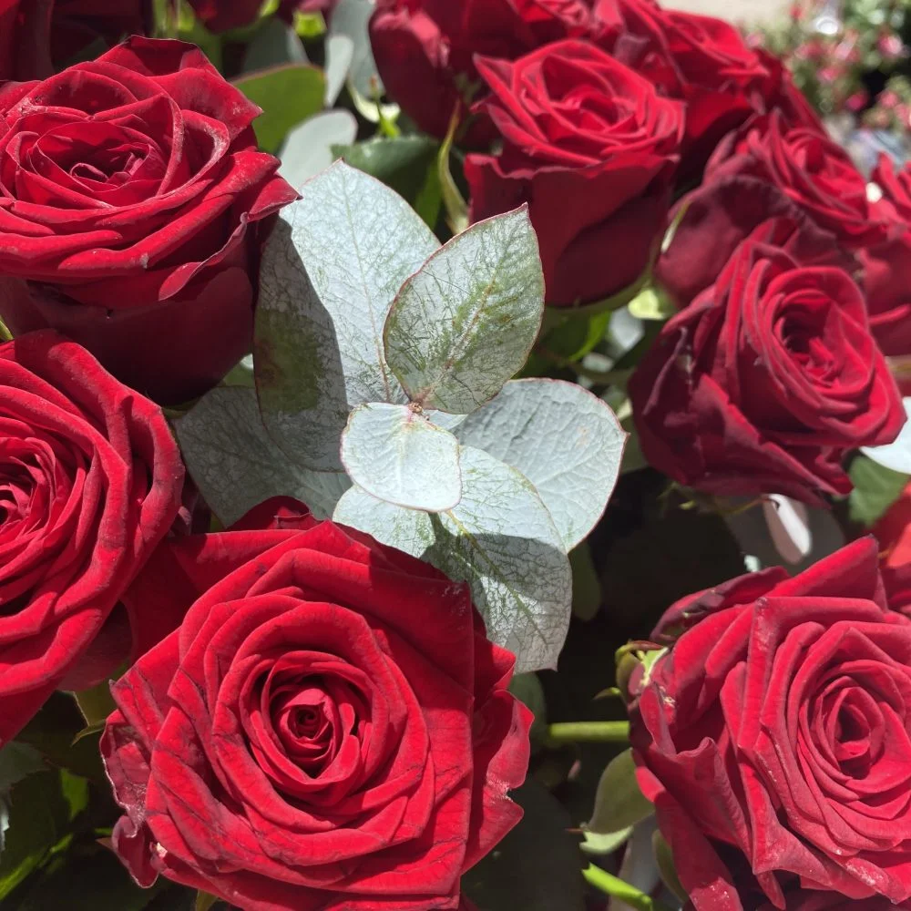 Bouquet Long D'Amour, par Magnolia Fleuriste, fleuriste à Antibes