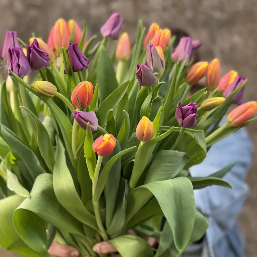 Bouquet de Tulipes, par Langage Des Fleurs, fleuriste à Bastia