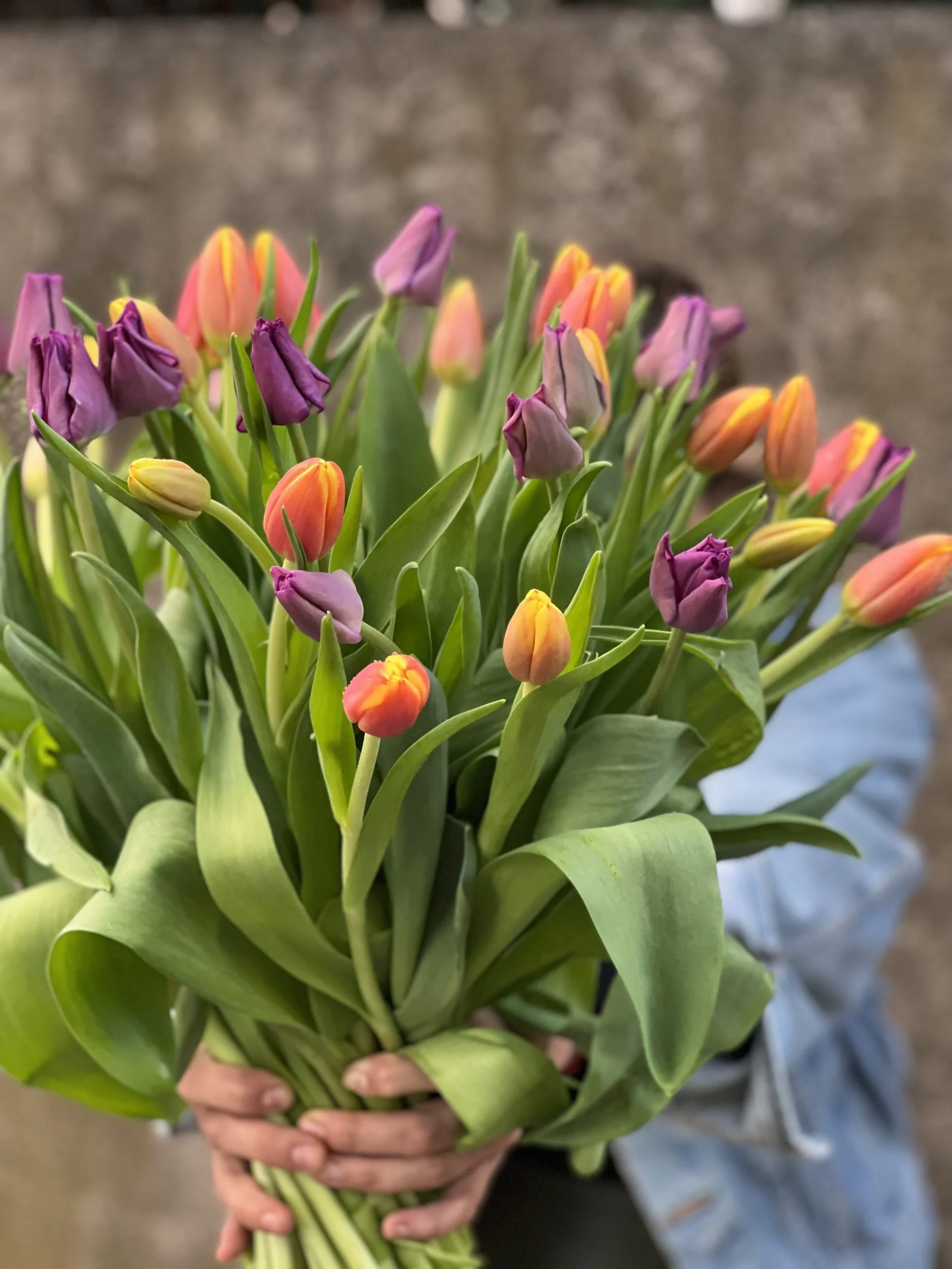 Bouquet de Tulipes, par Langage Des Fleurs, fleuriste à Bastia