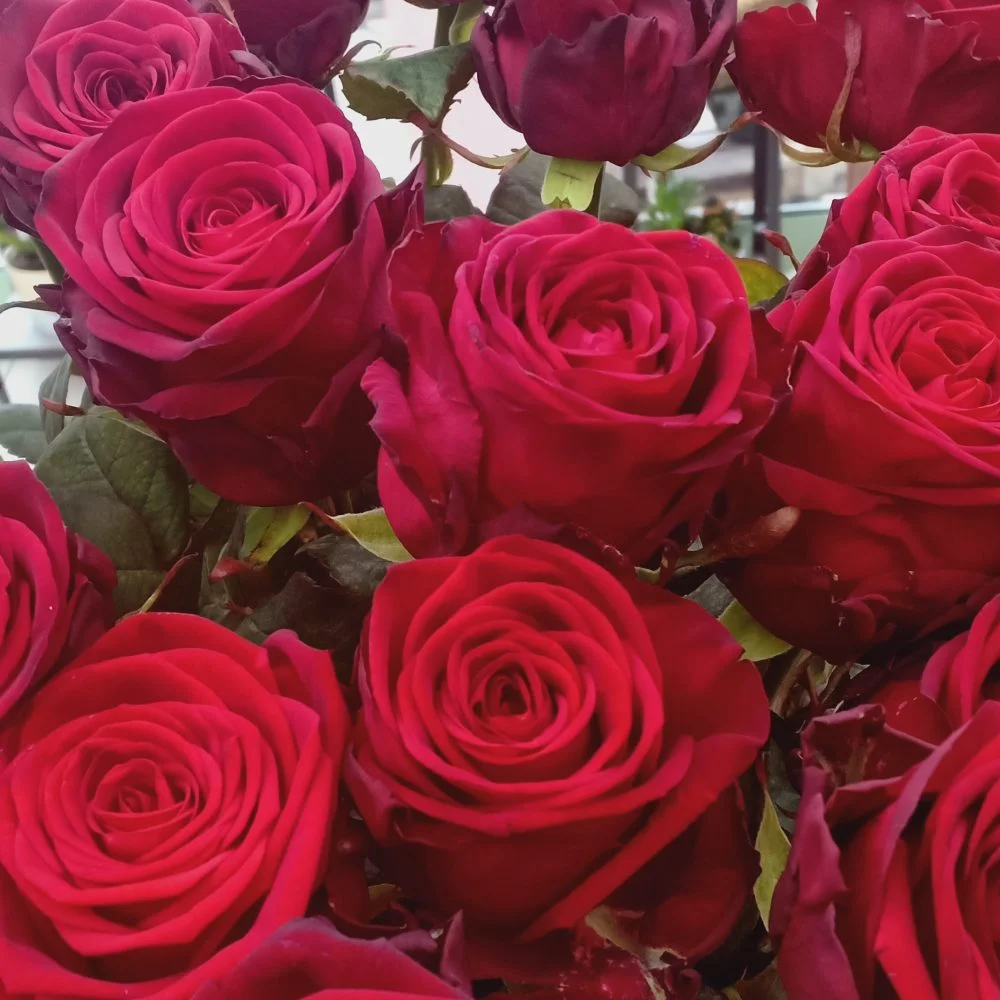 Roses Rouges à la Tige, par La Fleuriste du Coin, fleuriste à Amnéville