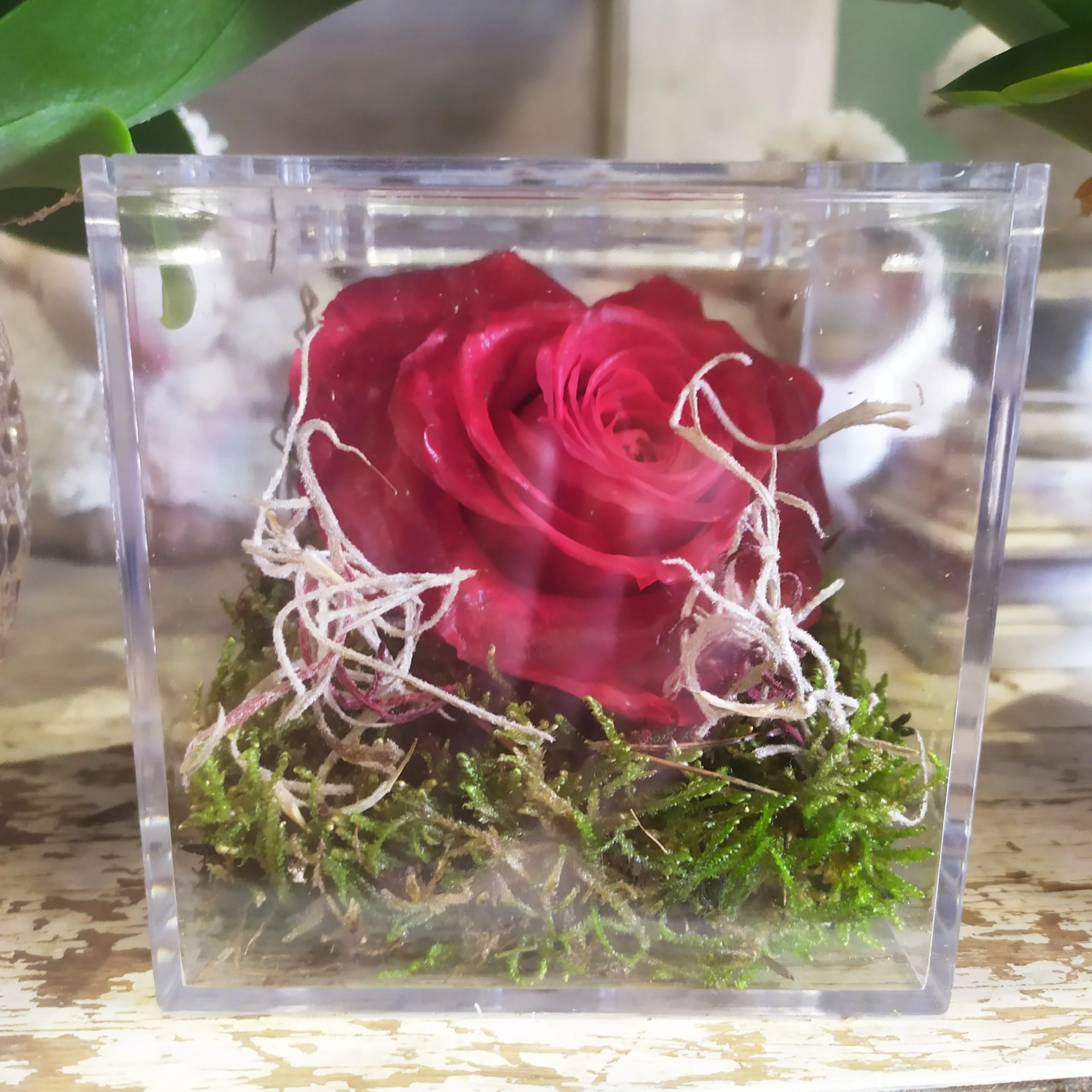 Boite avec une rose éternelle en forme de Coeur, par ROSE-BELLE, fleuriste à Nice