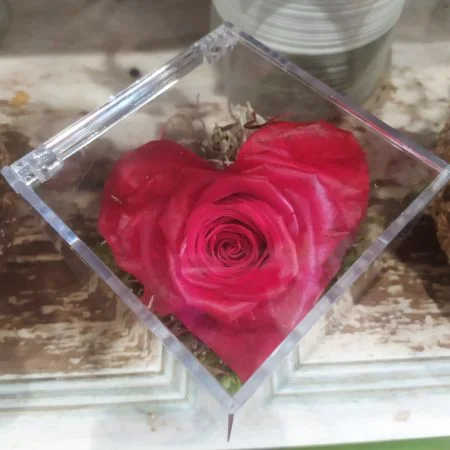 Boite avec une rose éternelle en forme de Coeur, par ROSE-BELLE, fleuriste à Nice