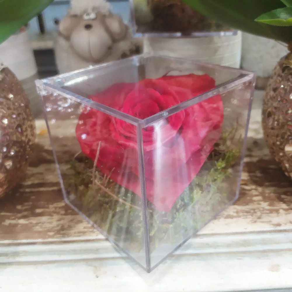 Boite avec une rose éternelle en forme de Coeur, par ROSE-BELLE, fleuriste à Nice