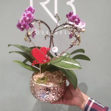 Orchidée en forme de Coeur production locale du Var, par ROSE-BELLE, fleuriste à Nice