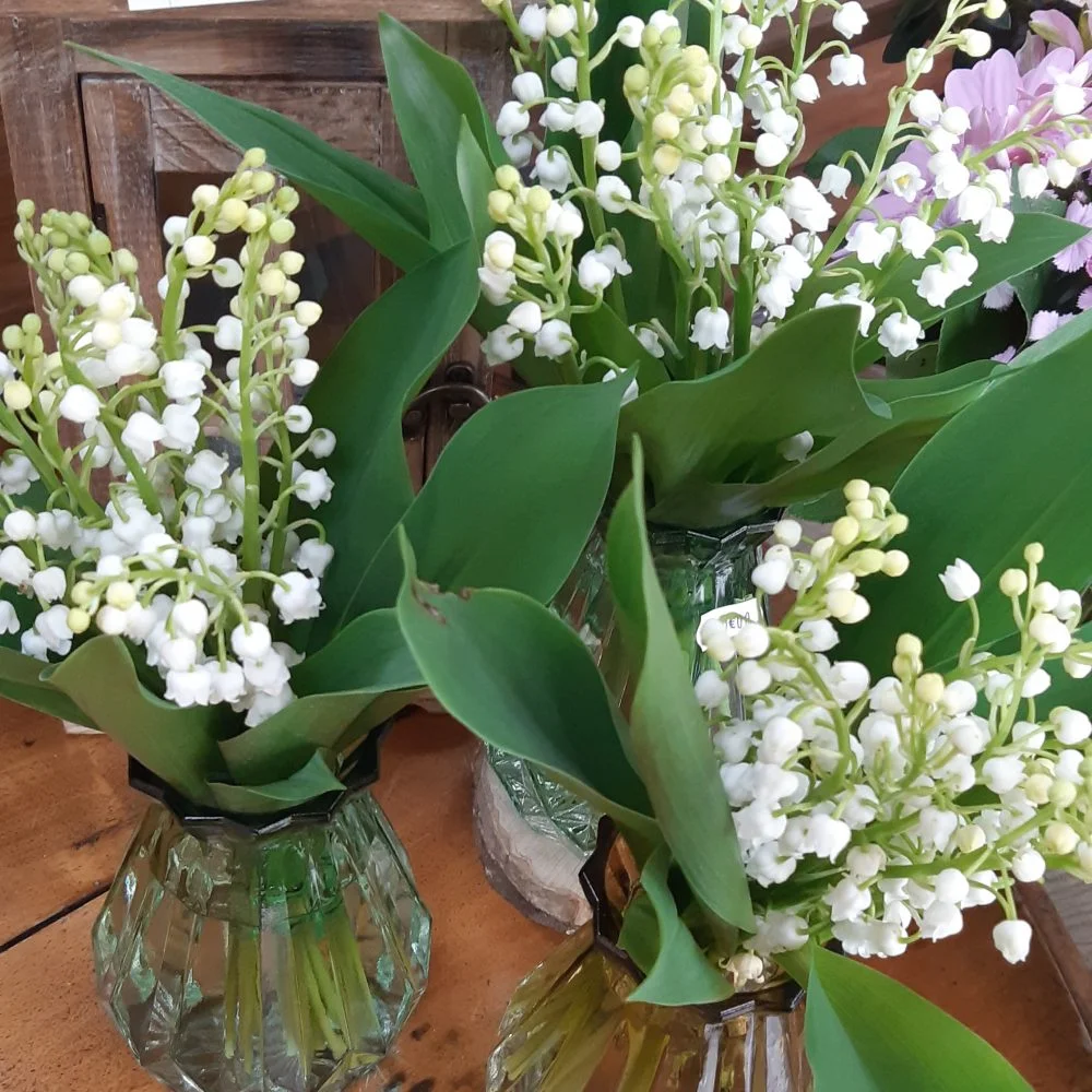 Bouquet 1er Mai, par La Ros'oir, fleuriste à Nancy